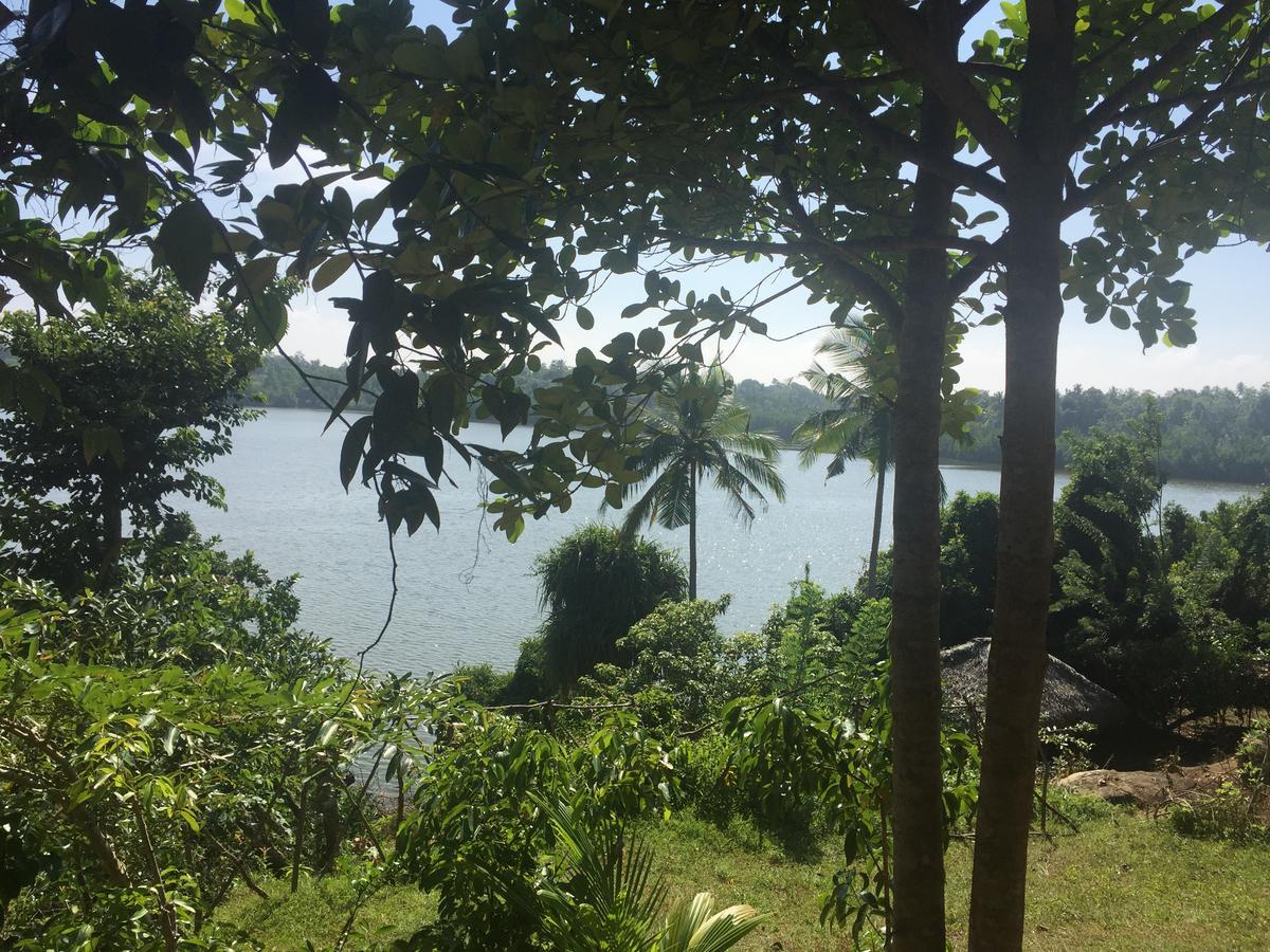 Kadolana Eco Village Balapitiya Luaran gambar