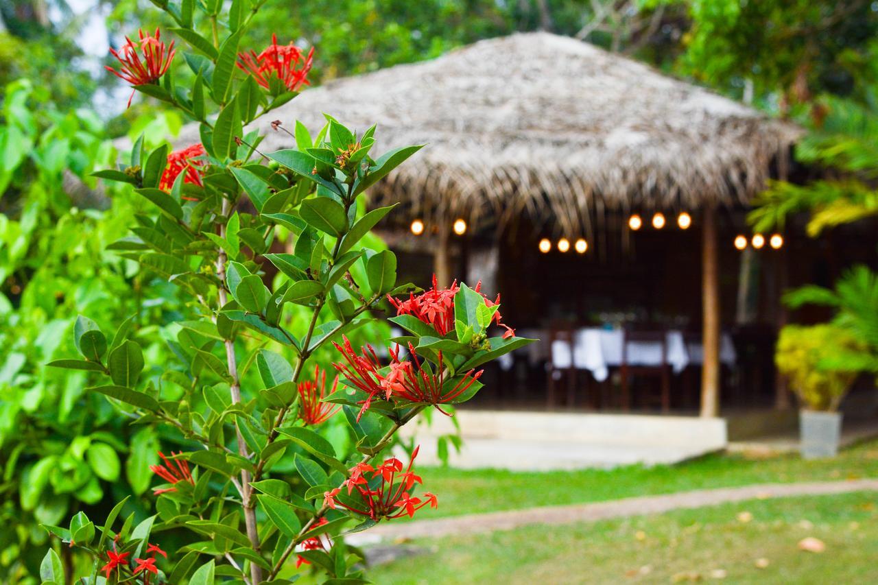 Kadolana Eco Village Balapitiya Luaran gambar