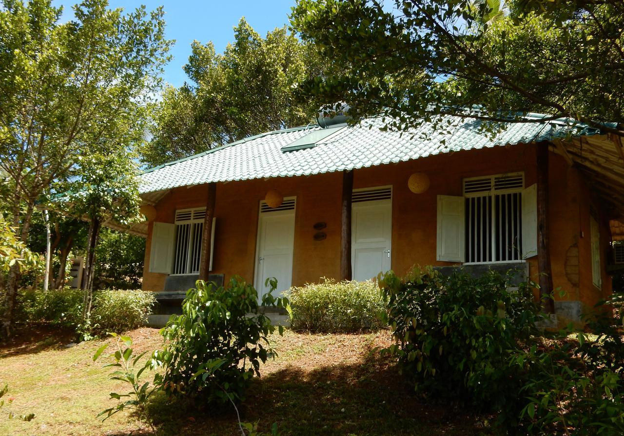 Kadolana Eco Village Balapitiya Luaran gambar